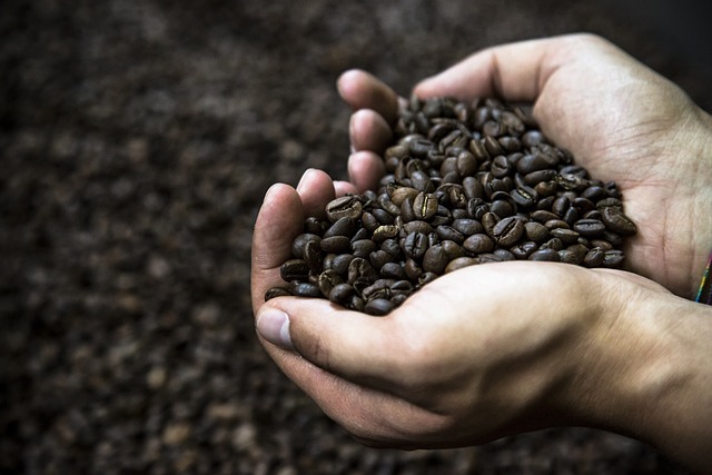 Best Coffee for Energy: Boost Your Productivity with These Picks