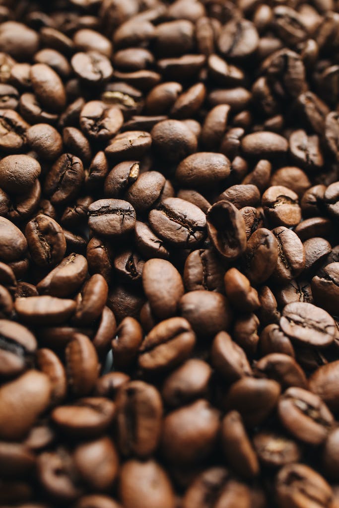 Coffee Beans in Close Up Photography